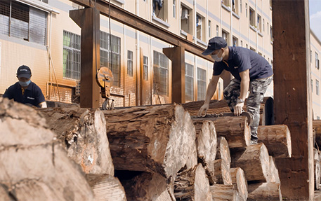 Hard maple logs at the NAVA veneers workshop