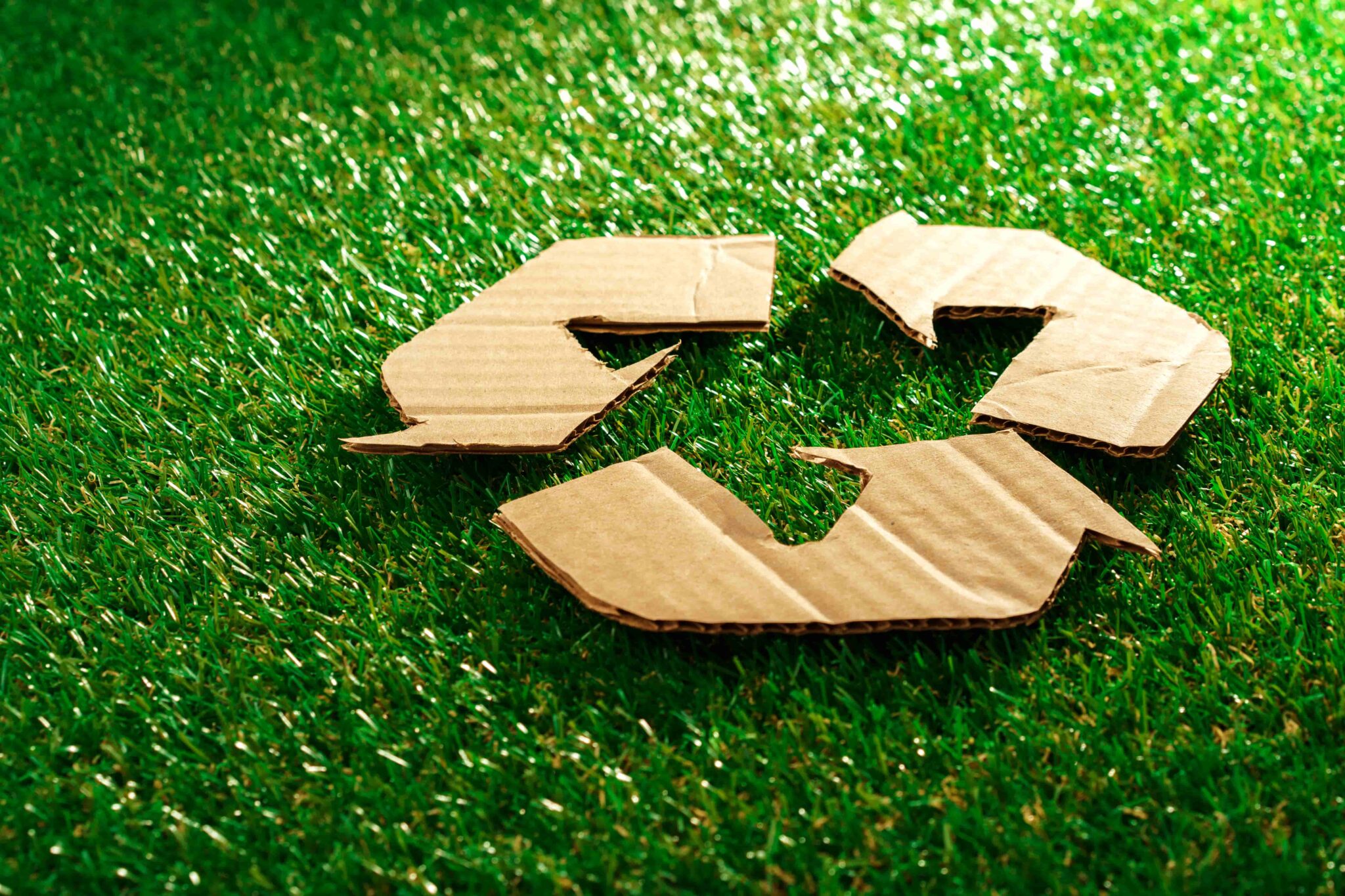Wooden recycling symbol placed on grass