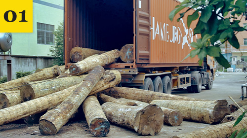 Hard maple logs beside a shipping container
