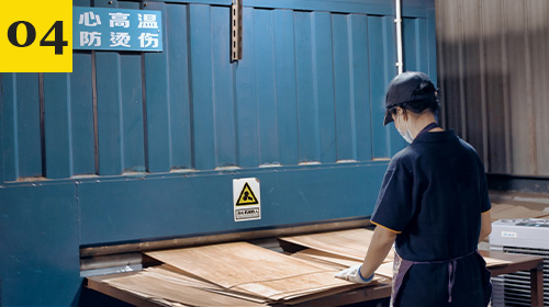 Worker preparing maple veneers at a drying machine